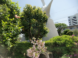 CIMG3527