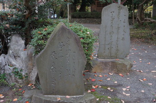 DSC00994