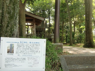 CIMG3539