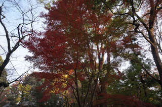 DSC00989
