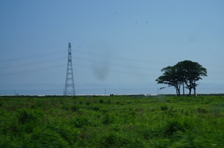 DSC00259