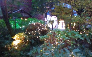 20181203_163211_Burst01