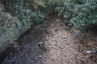 DSC00981