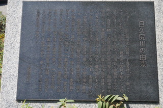 DSC00765