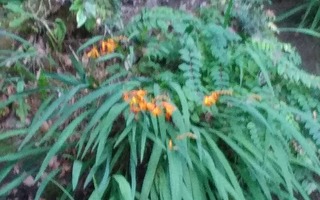 20181203_160251