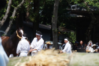 DSC00270