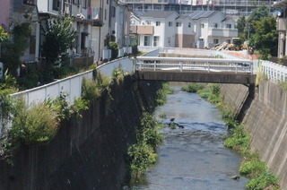 DSC00768