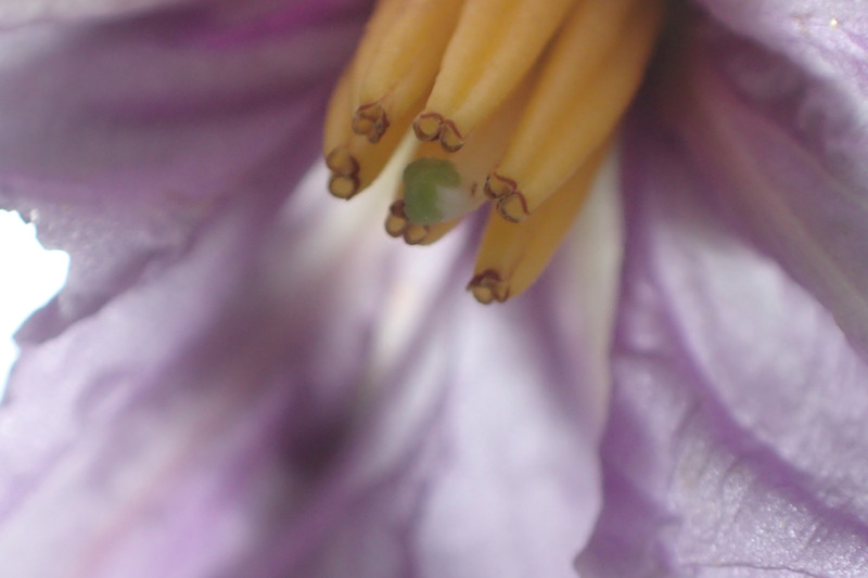 P8020297
