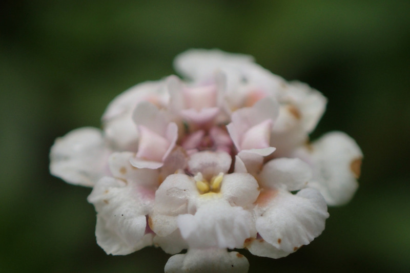 P8020303