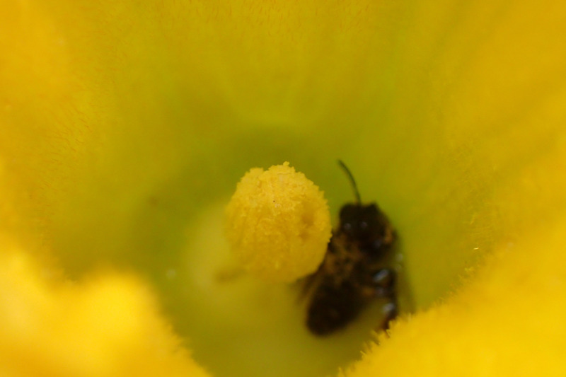 P8020299