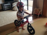STRIDER23