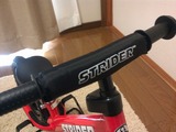 STRIDER12