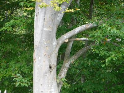 DSCF0067