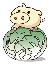 kyabuta