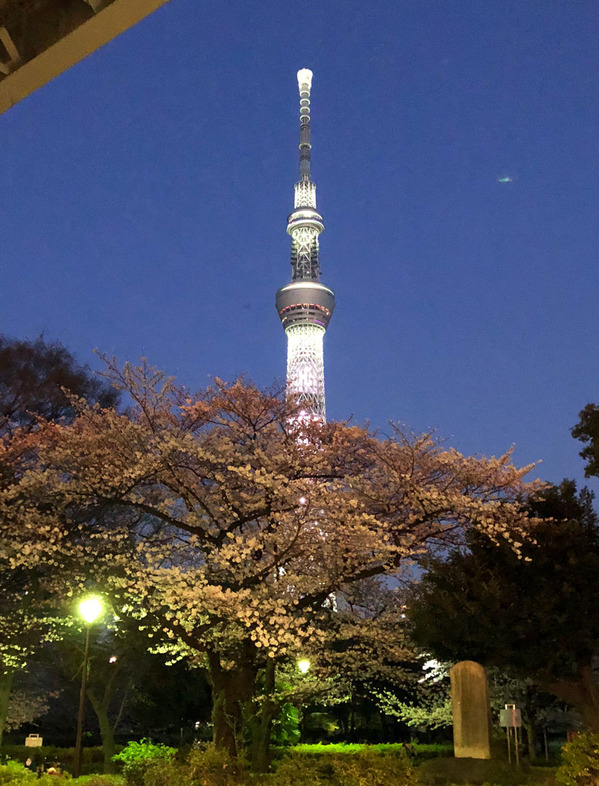 IMG_01442