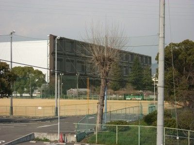 2011_03290042