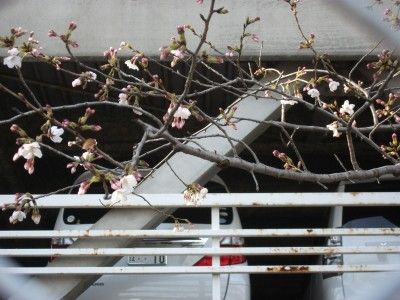 2011_03290043