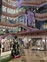 IMG_1973