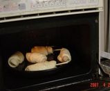 �����������ѥ�