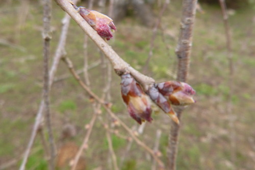 P1090227