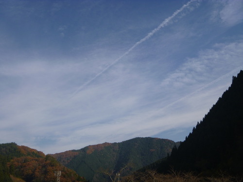 P1010649