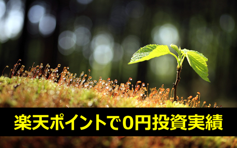 楽天ポイントで0円投資実績