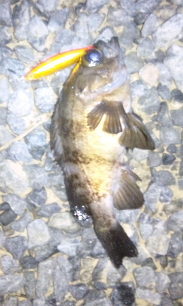 SH3E05340002