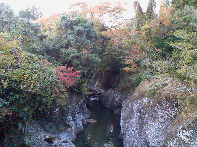 071120m1.jpg