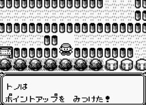 35 13道路 柵の間 ポイントアップ