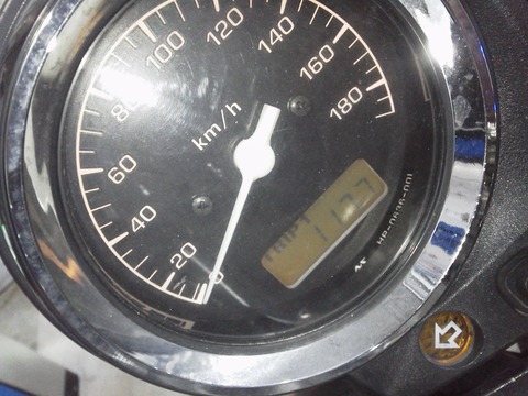 P1000013