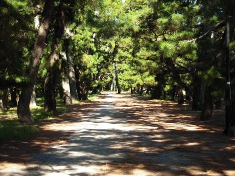 三方五湖 山頂公園 恋人の聖地 写真