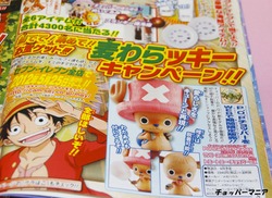ワンピースフェア