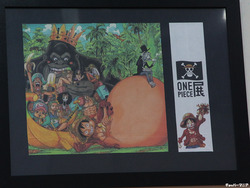 ONEPIECE-TEN036