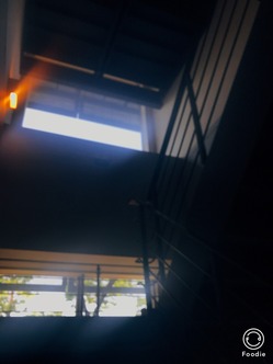 東大工学部