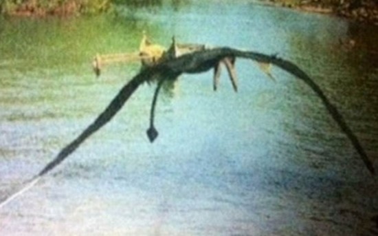未確認生物9
