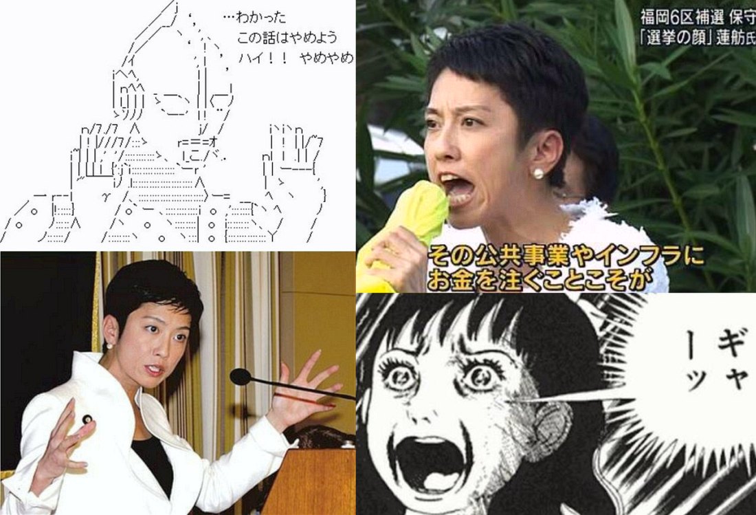 蓮舫ブーメラン37