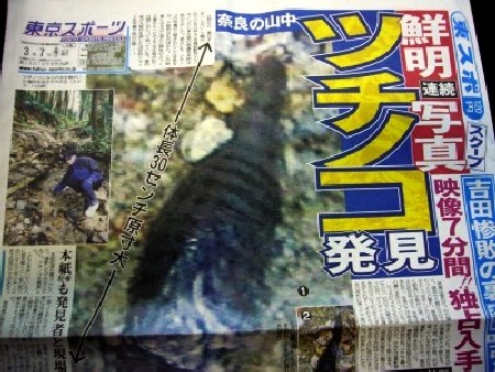 未確認生物11