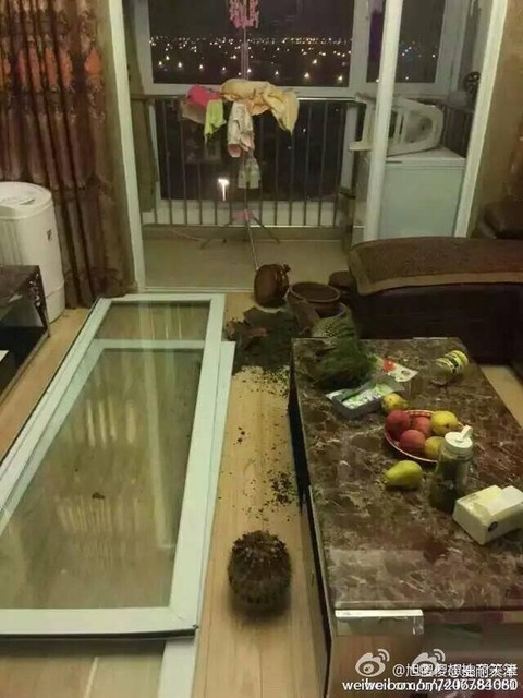 天津爆発17
