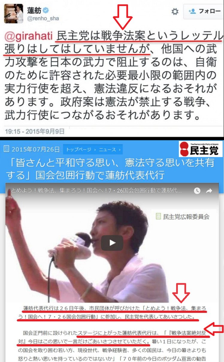 蓮舫ブーメラン34