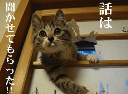 話は聞かせてもらった