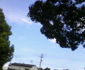 917d095f.jpg