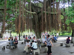 CIMG0748