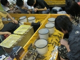 shilin11
