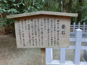 CIMG0105