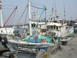 gyosen