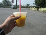 driveinn2