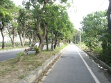 taitong1