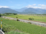 ikegami