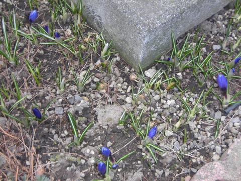 CIMG0287