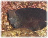 23aab615.jpg